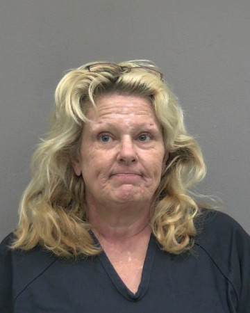 Mugshot of CONNIE FRANCIS CHANCEY