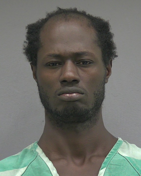 Mugshot of MAURICE ALAN HODGES