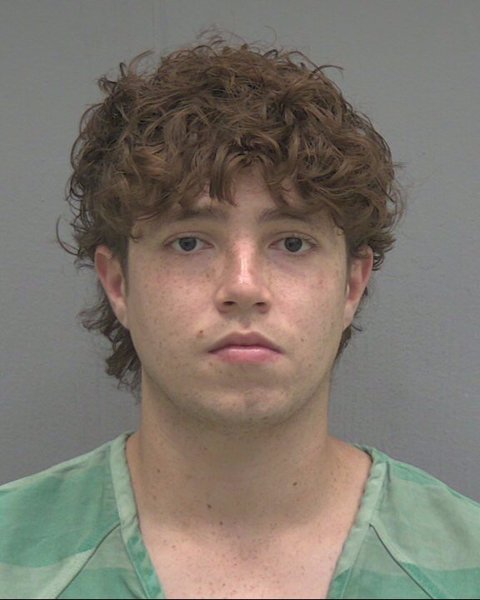 Mugshot of AYDAN E ARAUJO