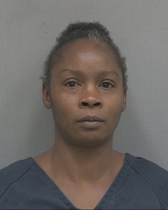 Mugshot of LAURA LEE JOHNSON