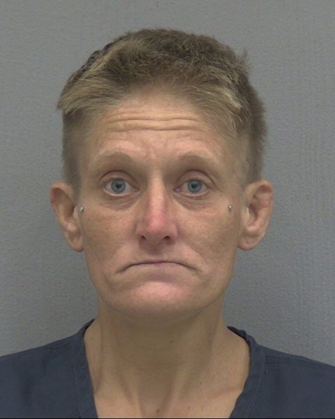 Mugshot of DEANNA LEE CARROLL