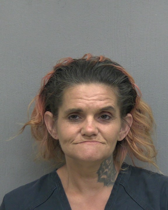Mugshot of DAWN MARIE BURGESS