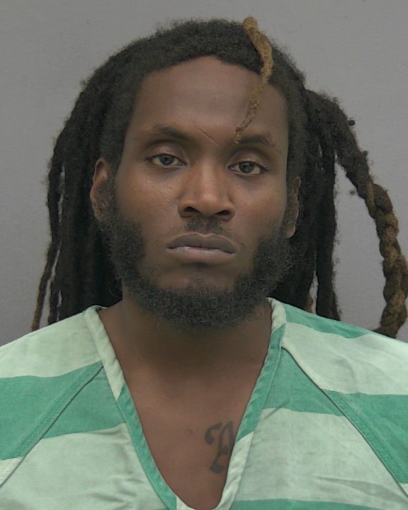 Mugshot of DARYL JAMES FOWLER