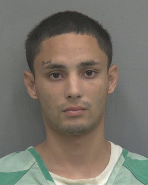 Mugshot of LUIS A TIRADO