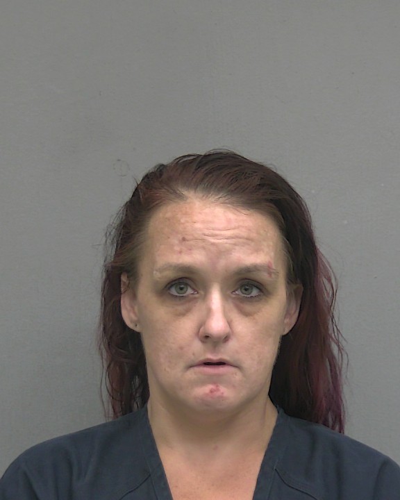 Mugshot of CANDACE NICOLE CHESTER