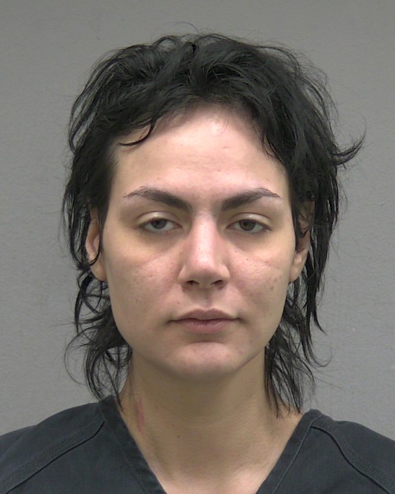 Mugshot of ELISA JOY RIVERA