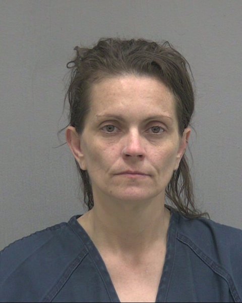 Mugshot of JERRYANNE AGRE