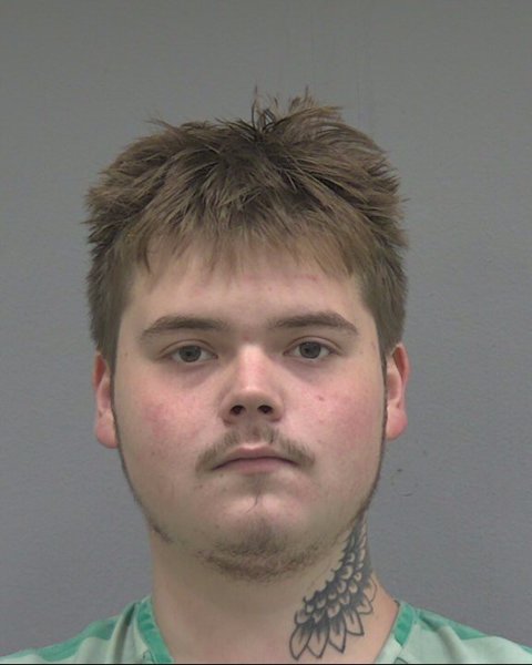 Mugshot of SULLIVAN DILLON FREE