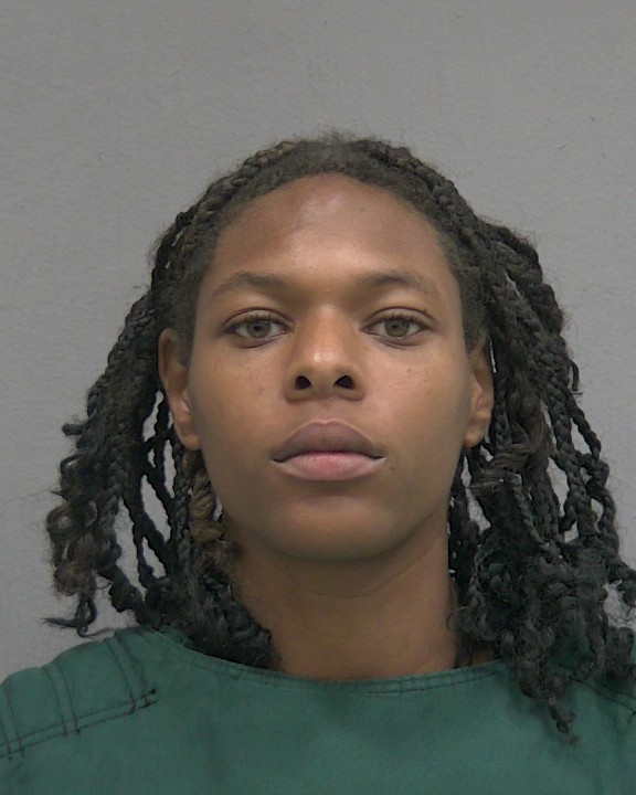 Mugshot of TIERRA ANNE SCOTTFRANKLIN