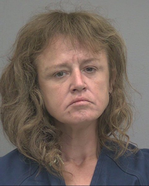 Mugshot of MELISSA SUE DOBBS