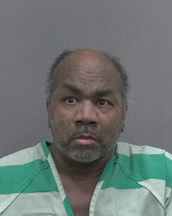 Mugshot of CHE VE LANEAL TARVER FEAGIN