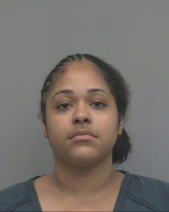 Mugshot of VIVIANA MARIA GUZMAN