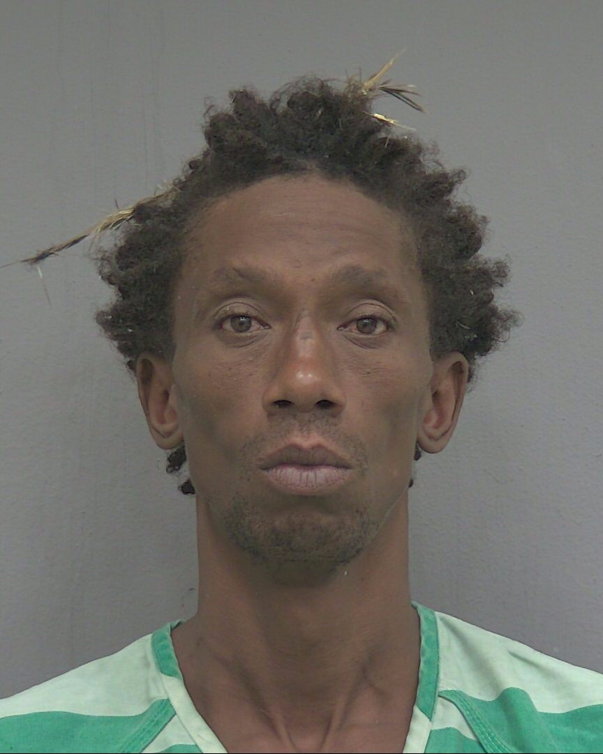Mugshot of JOEL MICAH WHEELER