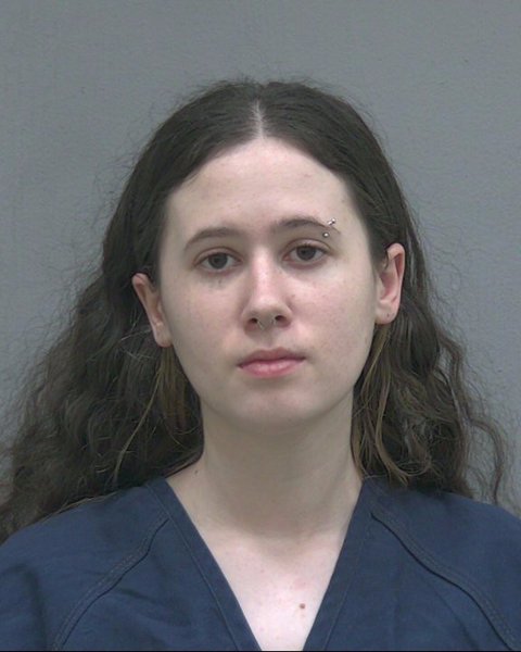 Mugshot of ALYSSA NICHOLE HENDRIEX