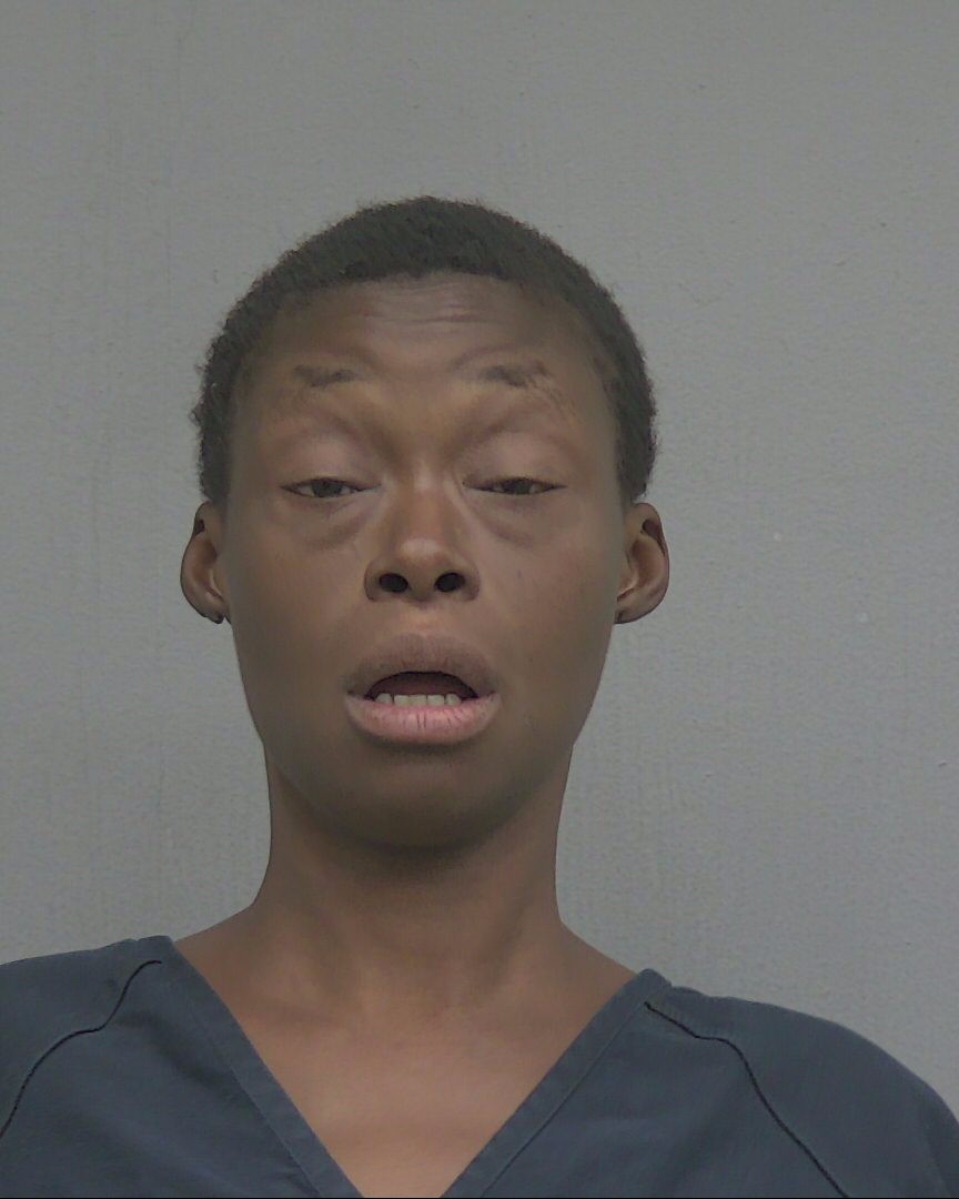 Mugshot of LESLIE DENISE WILLIAMS