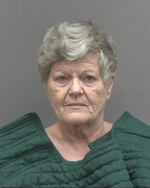 Mugshot of CYNTHIA LEE CORRELL