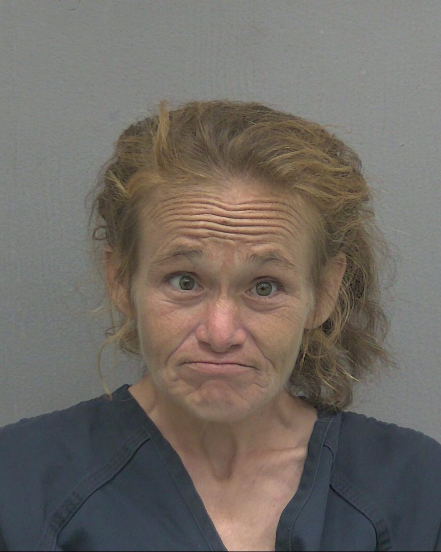 Mugshot of CHASITY D STONE