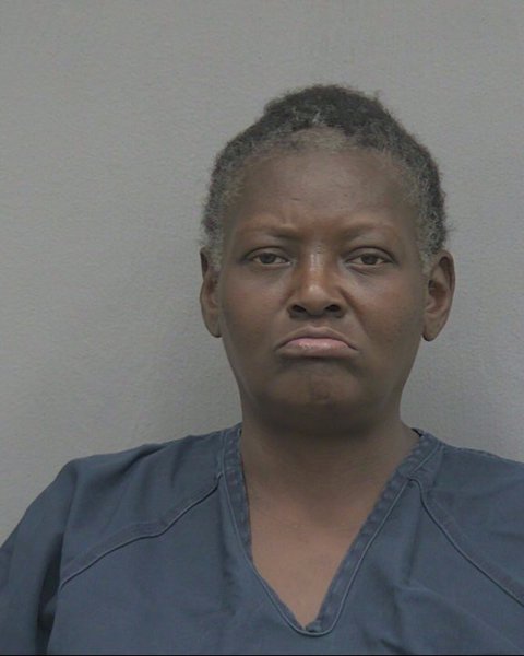 Mugshot of ERICA LASHAWN NOBLES