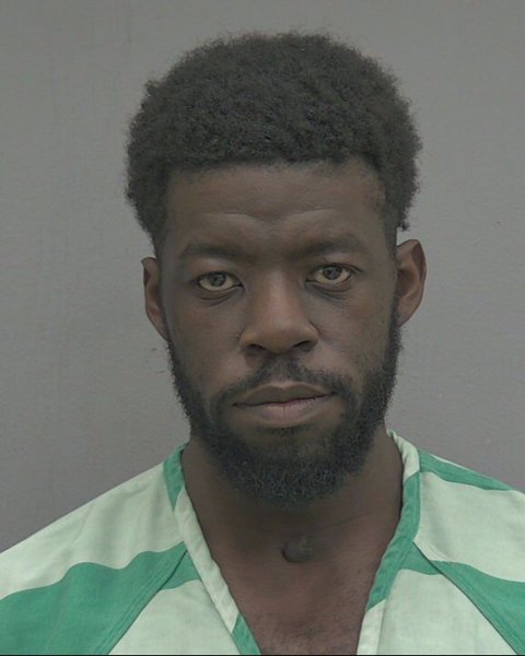 Mugshot of JOHN WADLY LOUIS