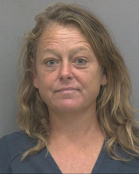 Mugshot of JENNIFER DENEANE BRYAN