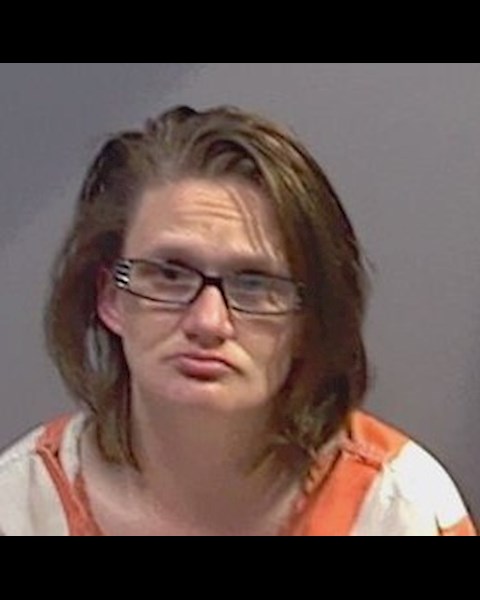 Mugshot of ELIZABETH SKYLAR ELIZABET RANEW