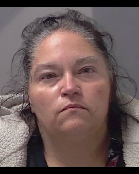 Mugshot of NOTASHA ANTOINETTE GILBERT