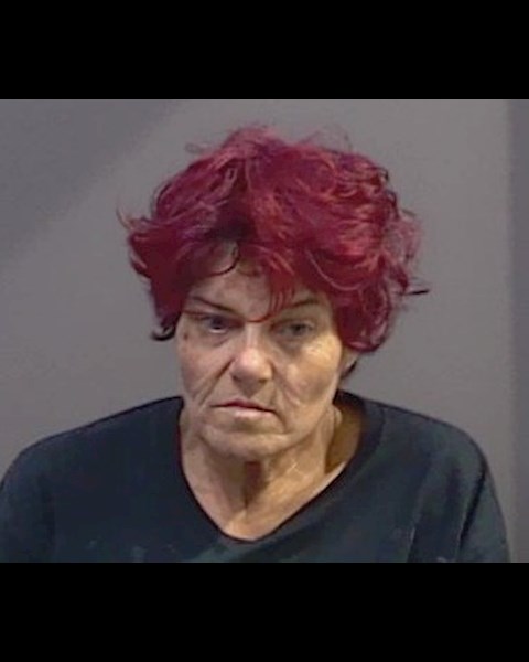 Mugshot of CHRYSTAL GAIL HOLT
