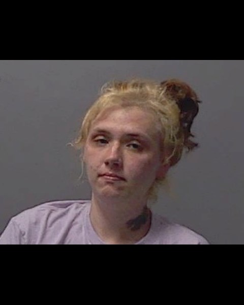 Mugshot of TAYLOR ELIZABETH DREW