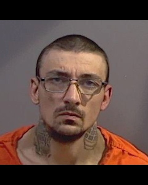 Mugshot of BUCK DYLAN TEAL