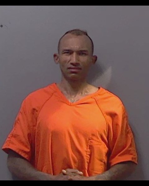 Mugshot of BRUCE PATRICK BROWN