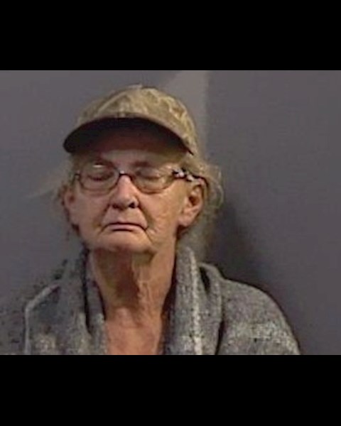 Mugshot of DAWN ROLLYSON ELROD