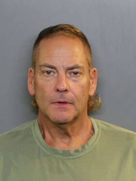 Mugshot of DAVID J BRASURE