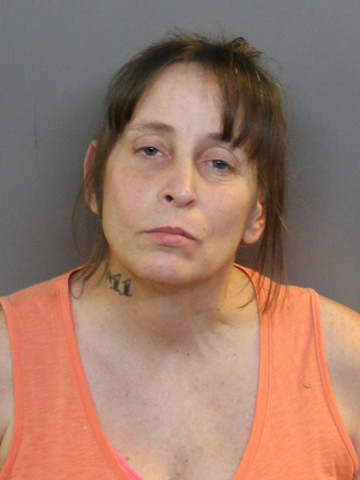 Mugshot of HEATHER A PECK