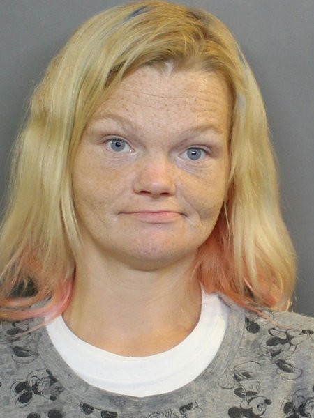 Mugshot of THERESA D JOHNSON