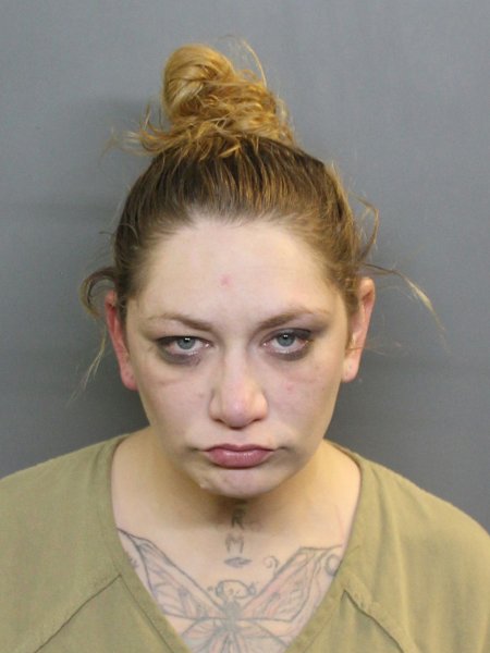 Mugshot of AMANDA L BRIER