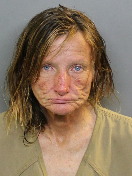 Mugshot of MARY V MICHELS