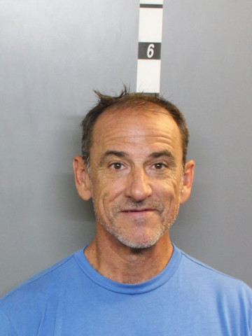Mugshot of SHAWN B WIGGINS