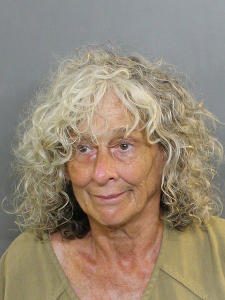 Mugshot of MARY DONLON