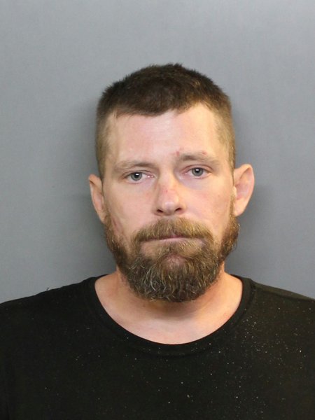 Mugshot of RYAN C CARROLL