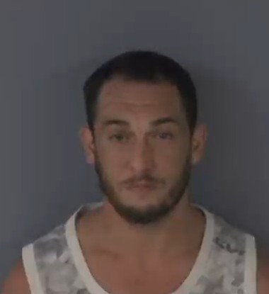 Mugshot of FRANKIE SHAWN TORTORELLA
