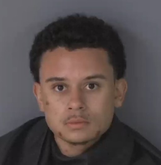 Mugshot of CAM`RON JERMAINE DOVE