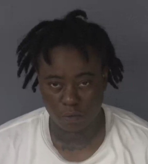Mugshot of CHASITY NICOLE FLEMING