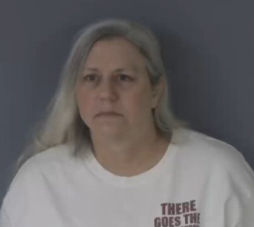 Mugshot of HEATHER LYNN MEECE