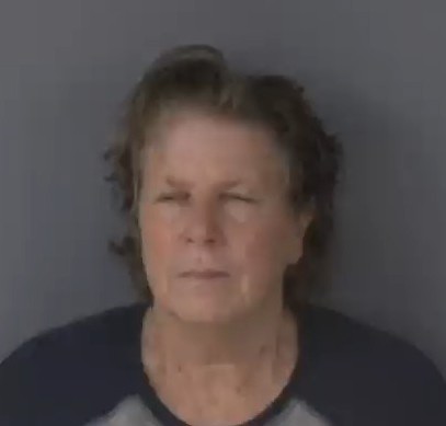 Mugshot of LINDA HASENBALG GUSKE