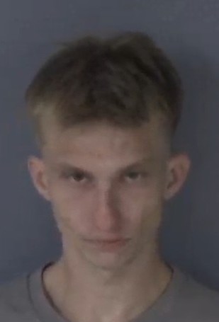 Mugshot of DANIEL RAY STAMER