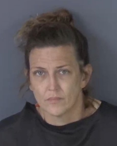 Mugshot of HEATHER MAE MCDONALD