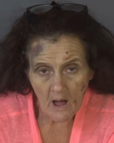 Mugshot of CONNIE FRANCES RICHTER