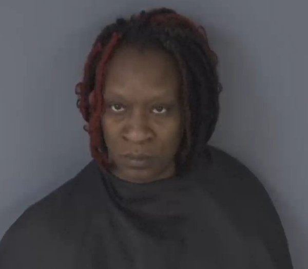 Mugshot of ANGINITA JONES MELLS