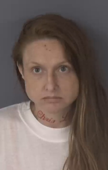 Mugshot of ALYSON PAMELA WALKER