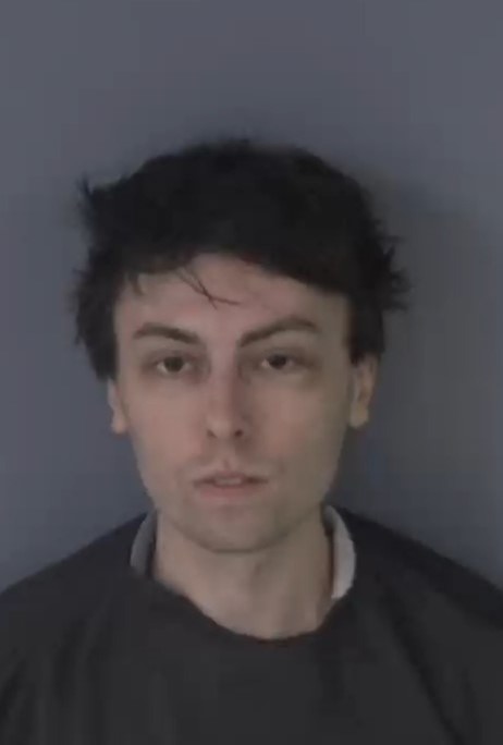 Mugshot of RYAN TYLER BORSODI